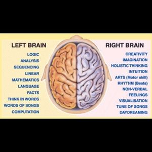 Meet your Posher, Lynne